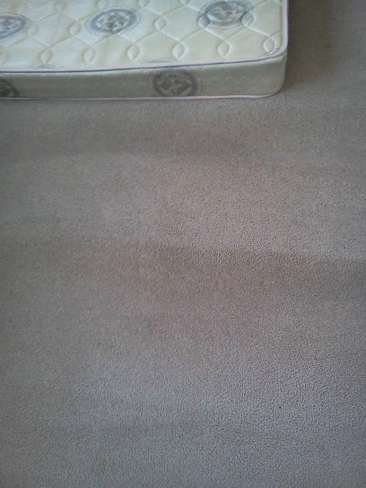 Eco-Clean Carpets