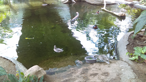 Zoo «Sedgwick County Zoo», reviews and photos, 5555 Zoo Boulevard, Wichita, KS 67212, USA