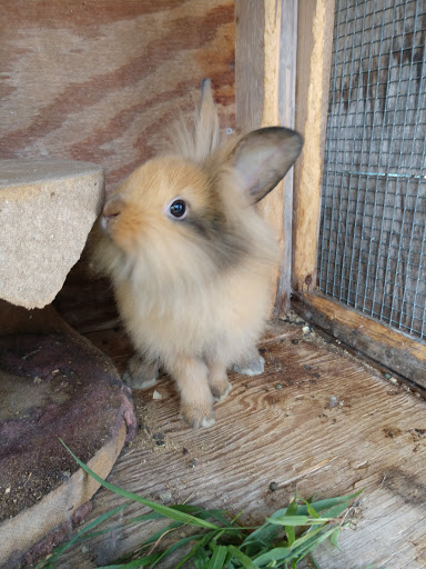 Pet Store «Salisbury Super Pet», reviews and photos, 329 Civic Ave, Salisbury, MD 21804, USA