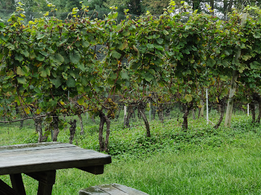 Vineyard «Elk Run Vineyards», reviews and photos, 15113 Liberty Rd, Mt Airy, MD 21771, USA