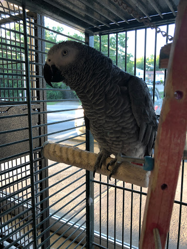 Pet Store «Delhi Pet Center», reviews and photos, 5665 Rapid Run Rd, Cincinnati, OH 45238, USA