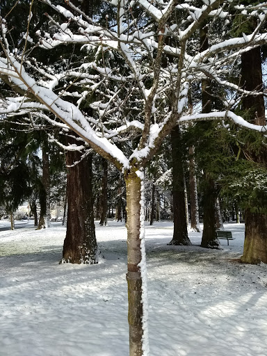 Park «Mt. Scott Park», reviews and photos, SE 72nd Ave & Southeast Harold Street, Portland, OR 97206, USA