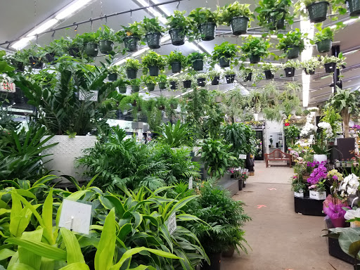 Florist «Metropolitan Plant & Flower», reviews and photos, 840 NJ-17, Paramus, NJ 07652, USA