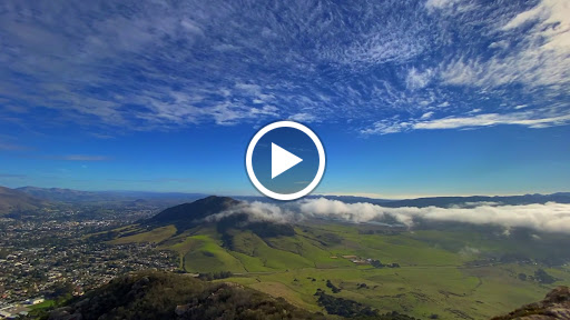 The Avenue Central Coast Realty image