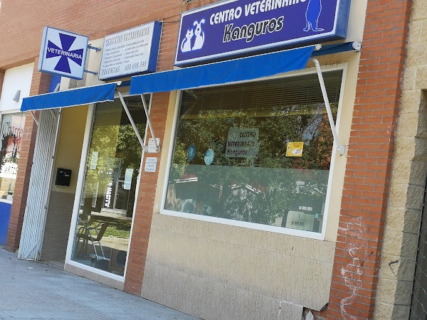 Kanguros