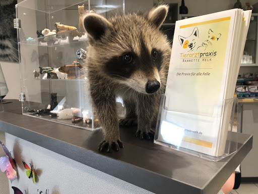 Tierarztpraxis Nannette Welk unter Elz, 
