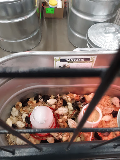 Home Improvement Store «Tractor Supply Co.», reviews and photos, 6922 FL-77, Southport, FL 32409, USA