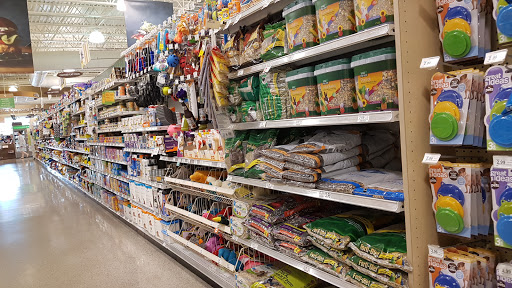 Supermarket «Publix Super Market at Champions Gate Village», reviews and photos, 8301 Champions Gate Blvd, ChampionsGate, FL 33896, USA