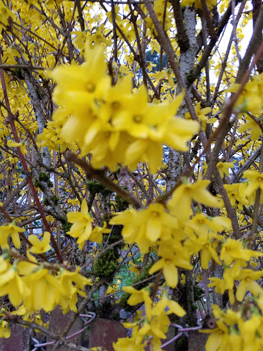 Park «Commonwealth Lake Park», reviews and photos, SW Butner Rd & SW Huntington Ave, Cedar Hills, OR 97225, USA