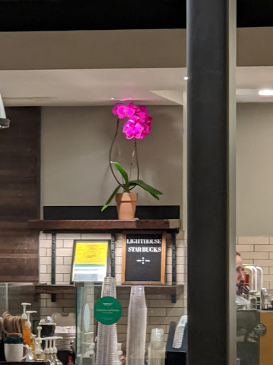 Starbucks image
