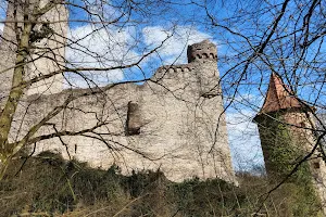 Burg Neidenstein image