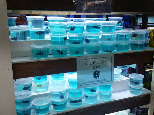 Pet Store «Forest Lake Pets», reviews and photos, 120 Lake St N, Forest Lake, MN 55025, USA