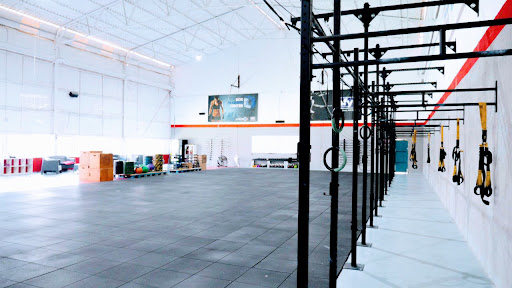 Box Training Center en Lorca, Murcia
