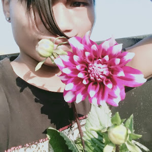 Prashanti Uddyan photo