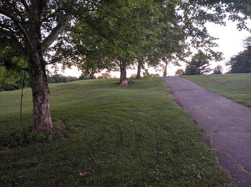 Golf Course «Vettiner Golf Course», reviews and photos, 10207 Mary Dell Ln, Louisville, KY 40299, USA