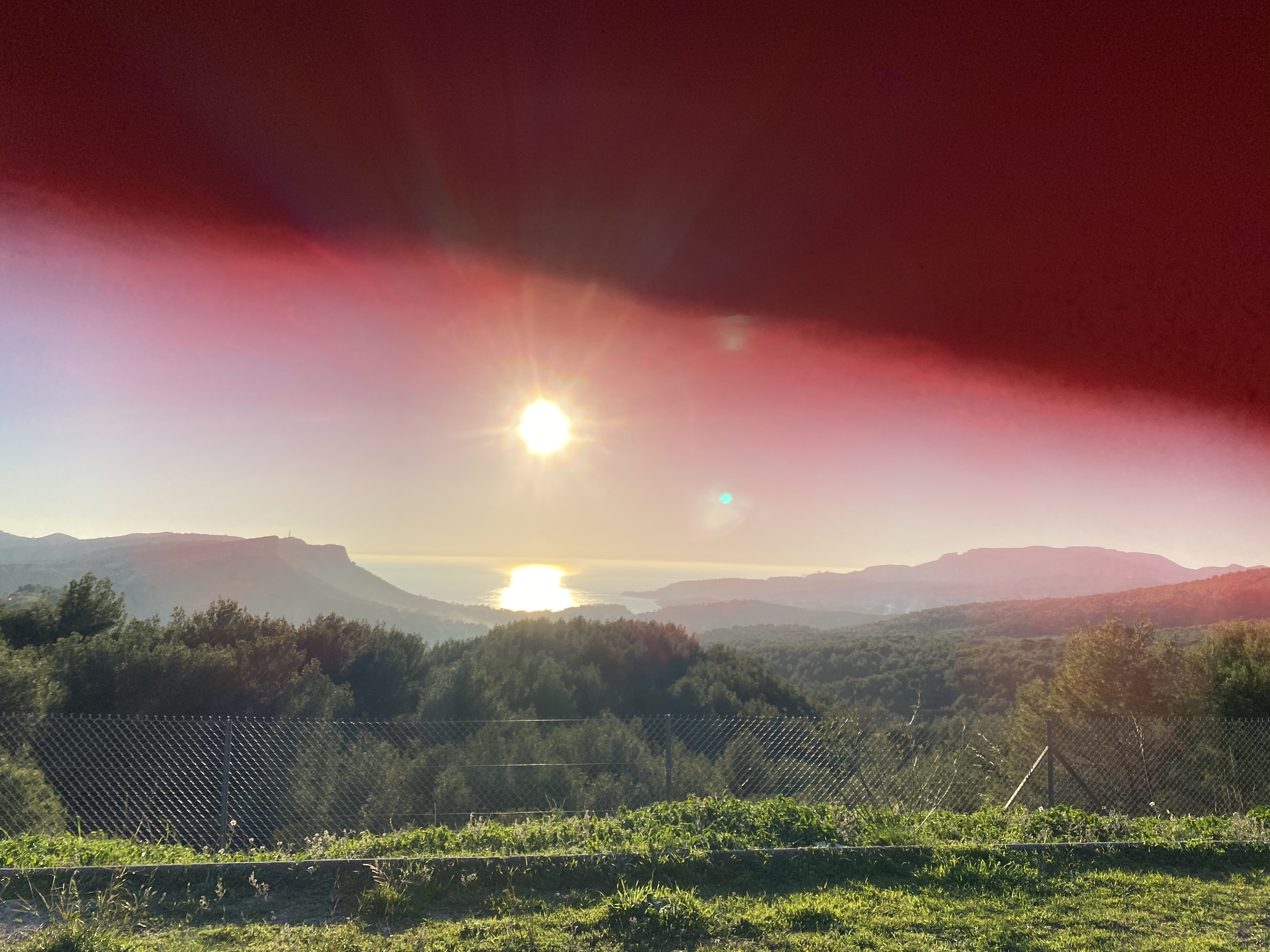 Photo n° 1 de l'avis de Pei.e fait le 03/12/2020 à 19:00