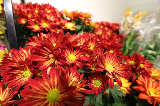 Grocery Store «Food Lion», reviews and photos, 110 Broadkill Rd, Milton, DE 19968, USA