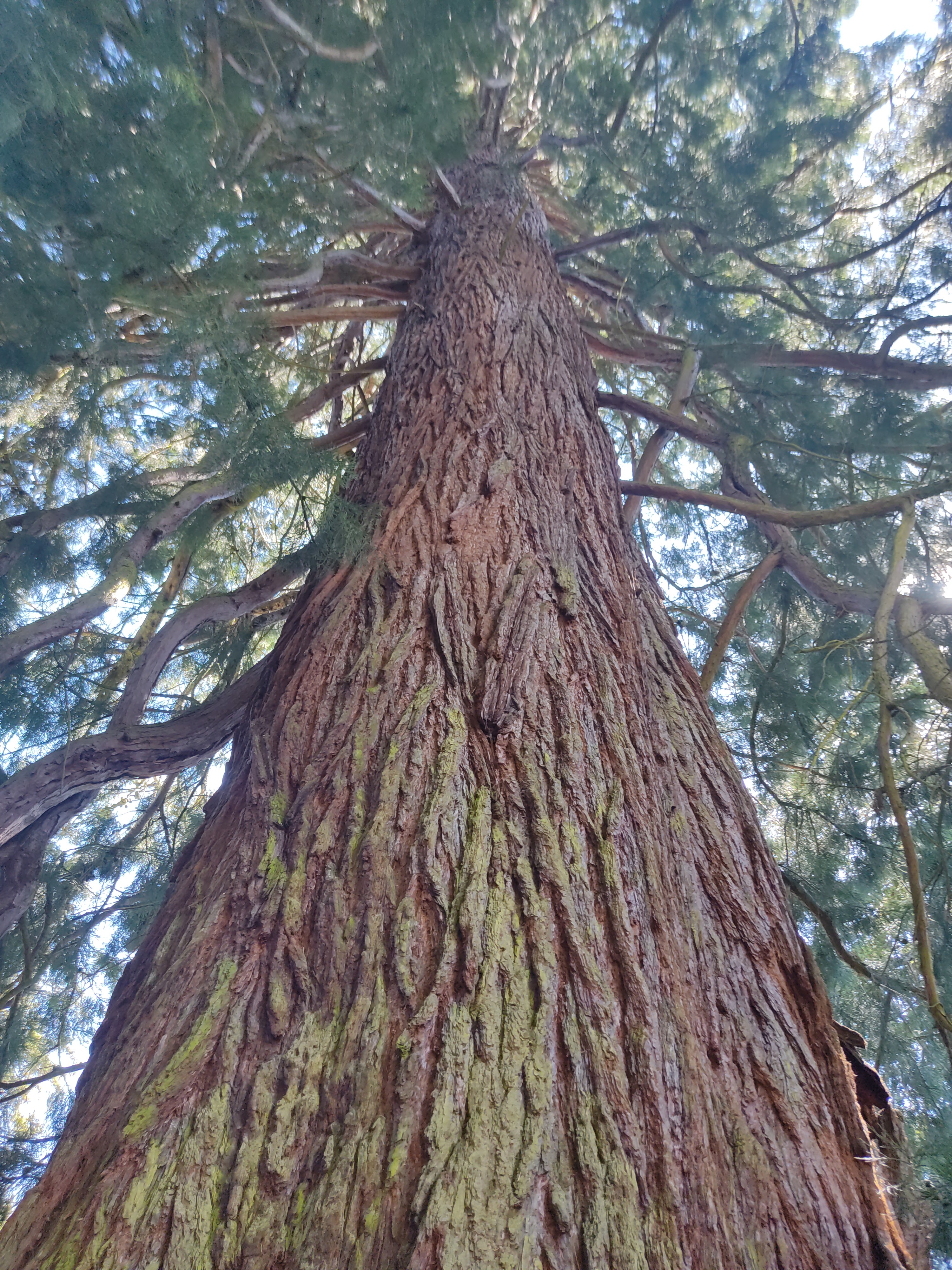 Photo n° 26 de l'avis de David.i fait le 29/05/2022 à 19:15