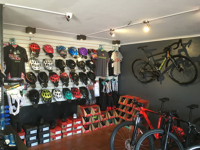 Opiniones de Campbell Bikes en Arica - Tienda de bicicletas