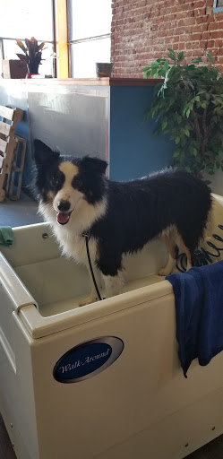 Pet Groomer «That Dog Wash», reviews and photos, 1401 Jackson St, Omaha, NE 68102, USA