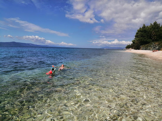 Djevicanska beach