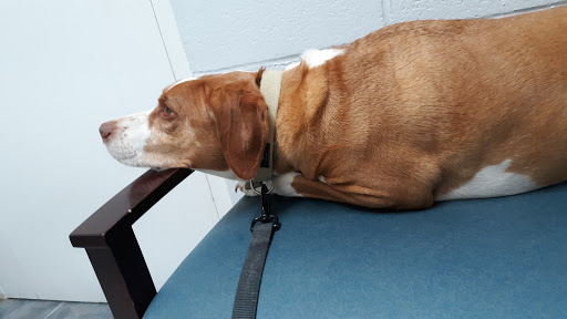 2001 E Main St, Waynesboro, VA 22980, USA