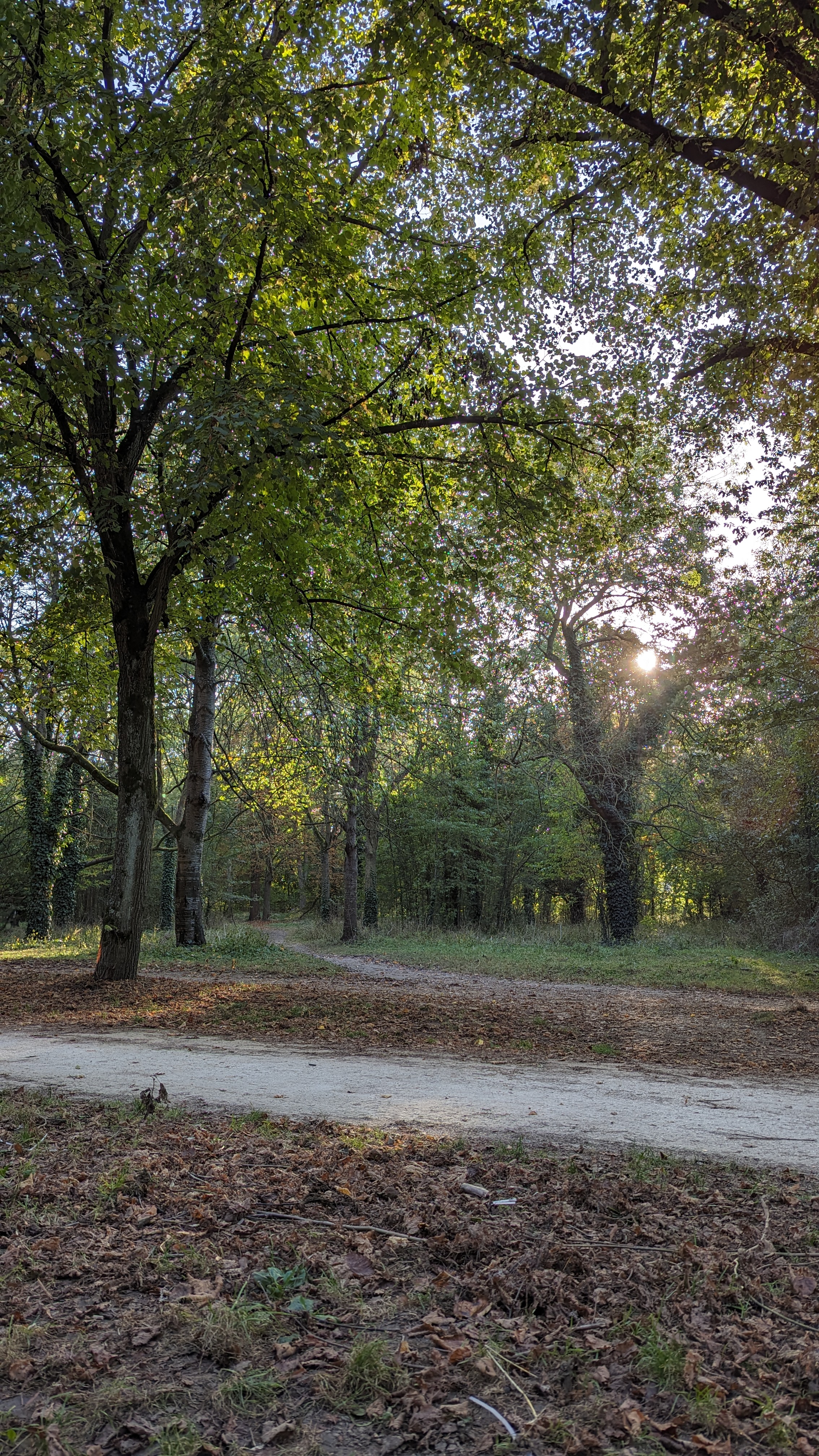 Photo n° 15 de l'avis de Alessandro.t fait le 09/03/2024 à 01:48