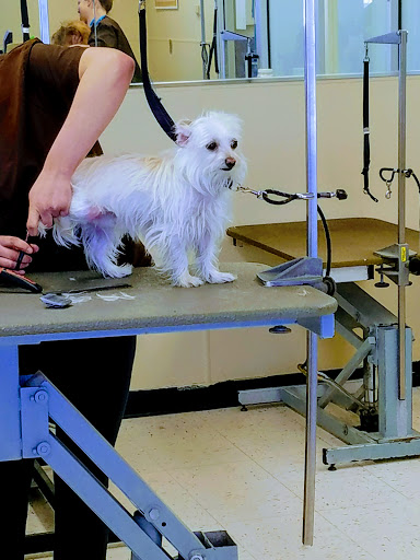 Pet Supply Store «Petco Animal Supplies», reviews and photos, 92 Cluff Crossing Rd, Salem, NH 03079, USA