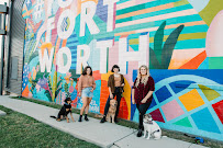 Diamond Dogs Training - Photo 6 - Car repair in Fort Worth, TX, Fort Worth