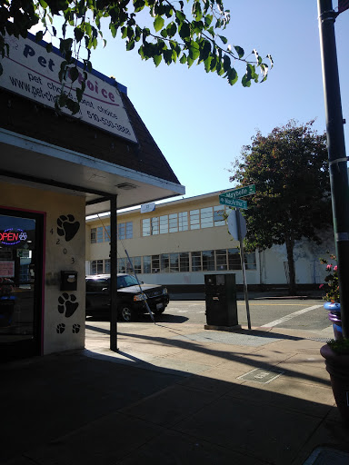 Pet Groomer «Pet Choice», reviews and photos, 4203 MacArthur Blvd, Oakland, CA 94619, USA