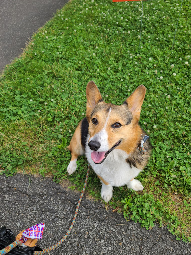 Park «Constitution Park», reviews and photos, Fletcher Ave & Lewis St, Fort Lee, NJ 07024, USA