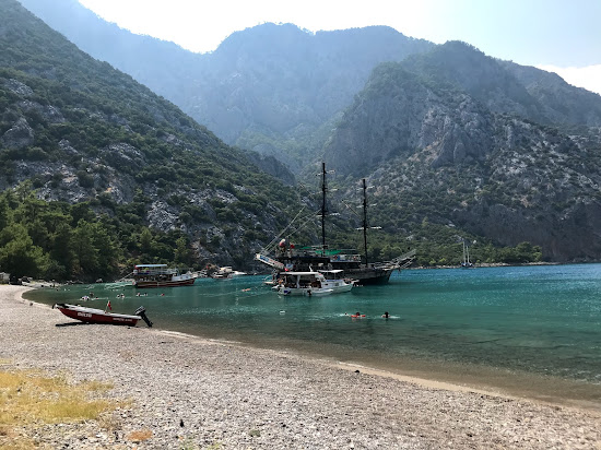Porto Ceneviz Koyu