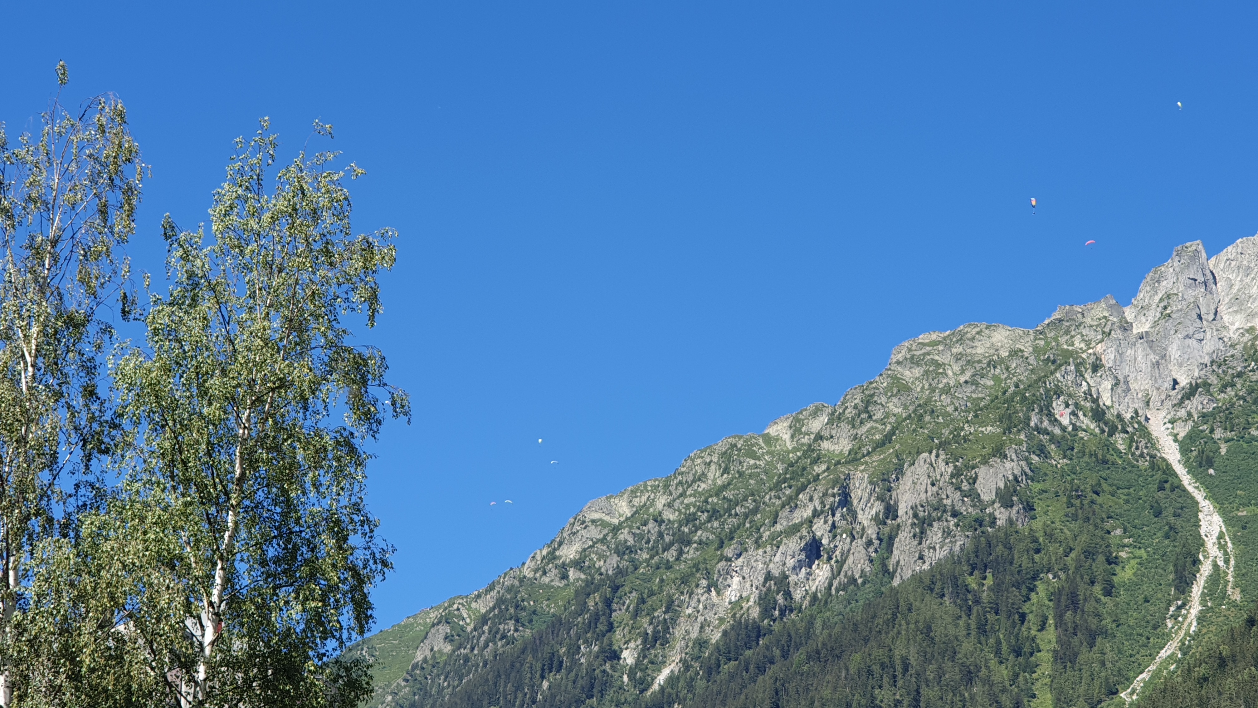 Photo n° 3 de l'avis de Tomáš.a fait le 28/07/2020 à 20:07