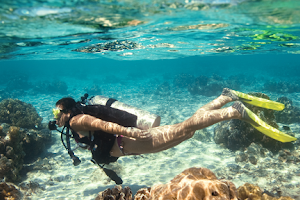 Scuba Diving In Miami - Squalo Divers image