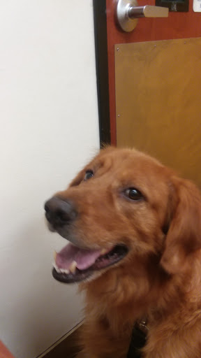 Pet Supply Store «PetSmart», reviews and photos, 950 Hanes Mall Blvd, Winston-Salem, NC 27103, USA