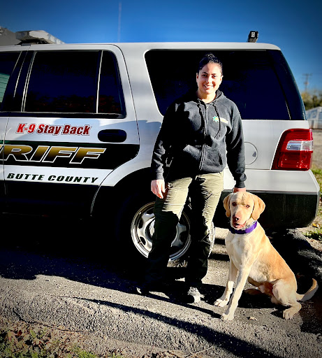 Ridgeside K9 NorCal Dog Training image