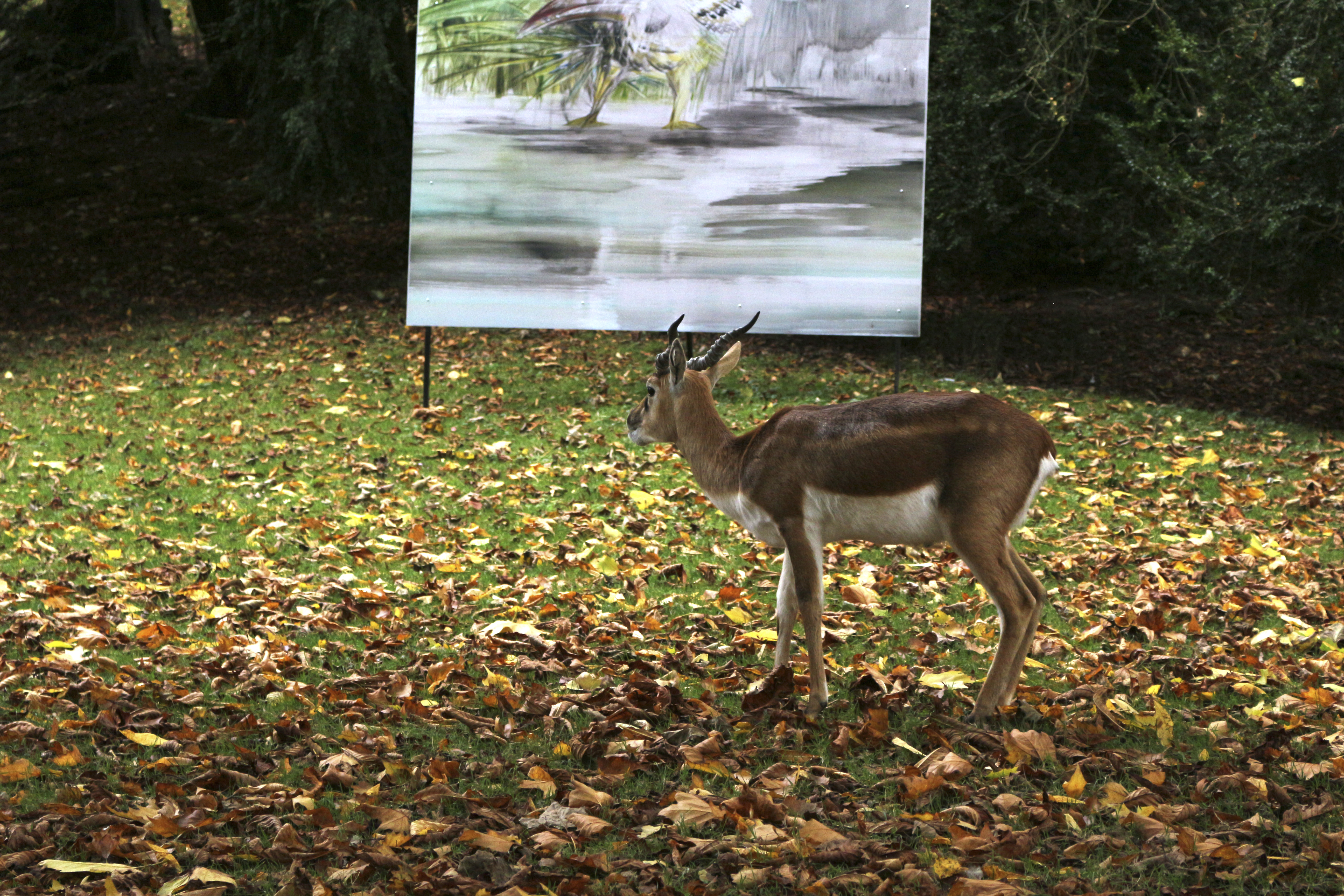 Photo n° 28 de l'avis de Laurent. fait le 05/08/2022 à 12:06
