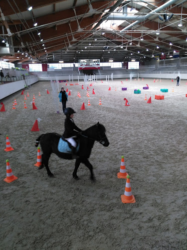 attractions Normandie Horse Show Saint-Lô