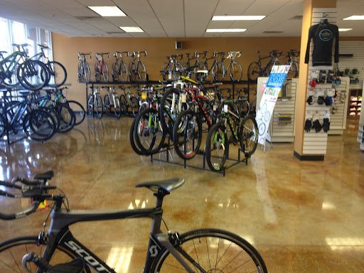 Bicycle Store «Southwest CycleSport», reviews and photos, 11701 Bee Cave Rd #110, Austin, TX 78738, USA