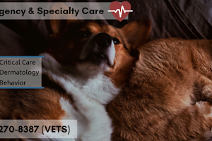 Newtown Veterinary Specialists image