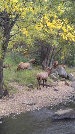 Winery «Creekside Cellars», reviews and photos, 28036 CO-74, Evergreen, CO 80439, USA