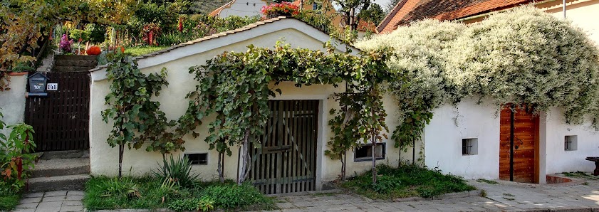 Pension and wine cellar at Urbana Bůdy 445, 696 11 Mutěnice, Tschechien