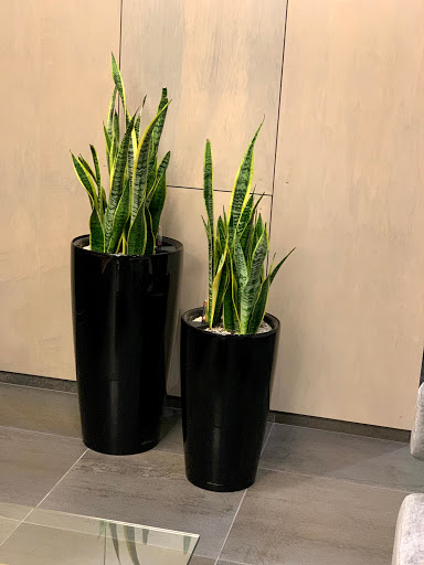 Florist «Red Square Flowers», reviews and photos, 337 W Mifflin St, Madison, WI 53703, USA