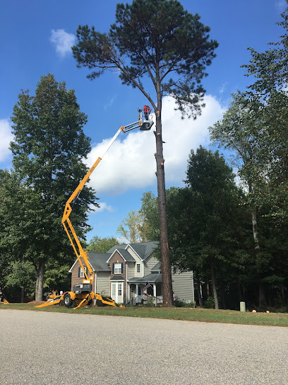 Perfection Tree Service and Land development