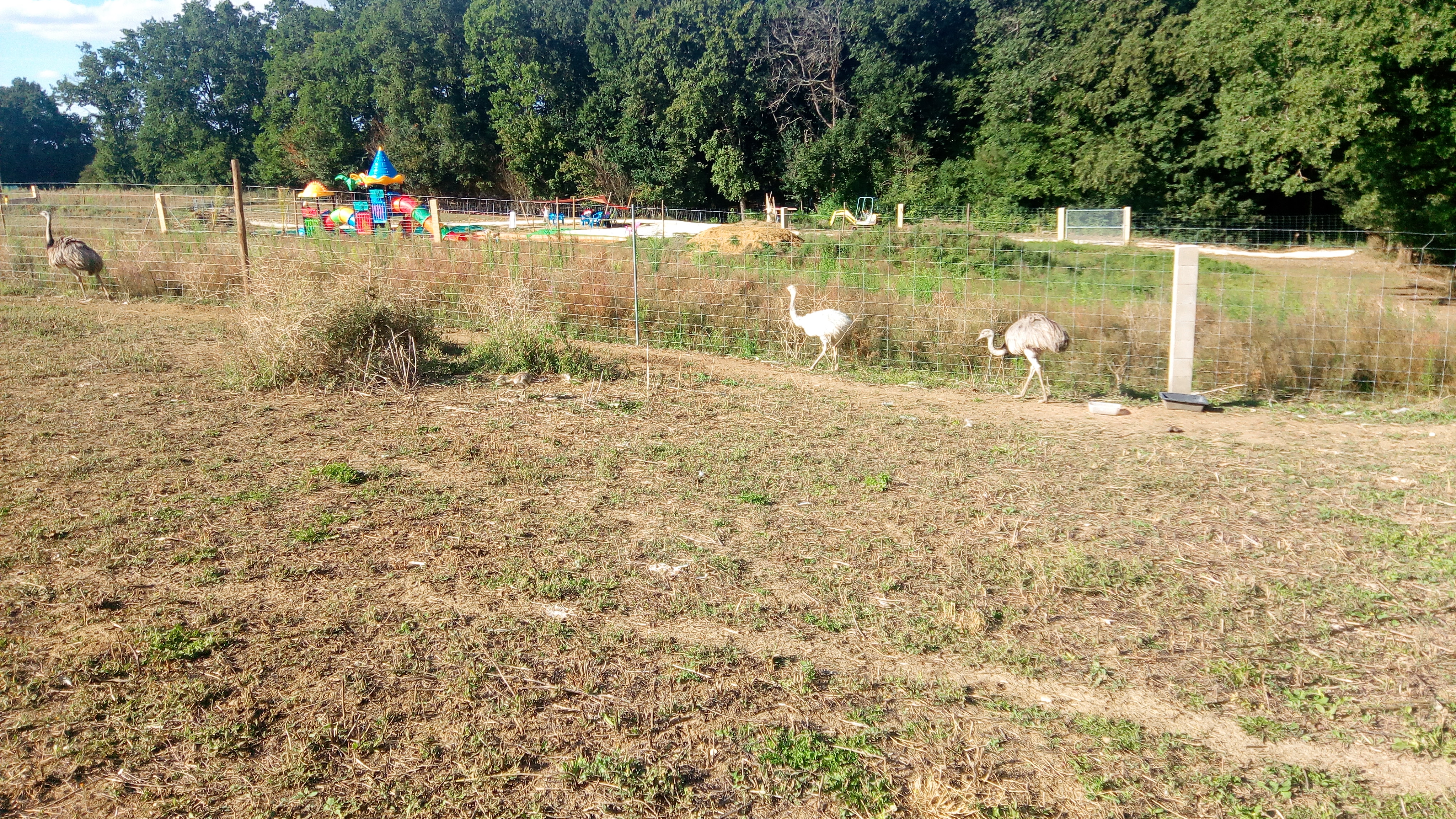 Photo n° 2 de l'avis de Cyril.A fait le 15/08/2017 à 08:37