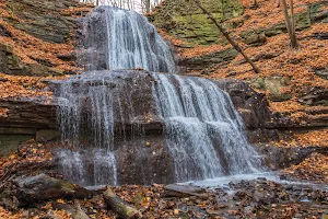 Sherman Falls image