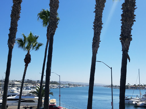 Book Store «Lido Village Books», reviews and photos, 3424 Via Oporto #102, Newport Beach, CA 92663, USA