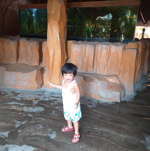 Tropical Fish Store «Aquatic Treasures», reviews and photos, 3211 N Tenaya Way #107, Las Vegas, NV 89129, USA