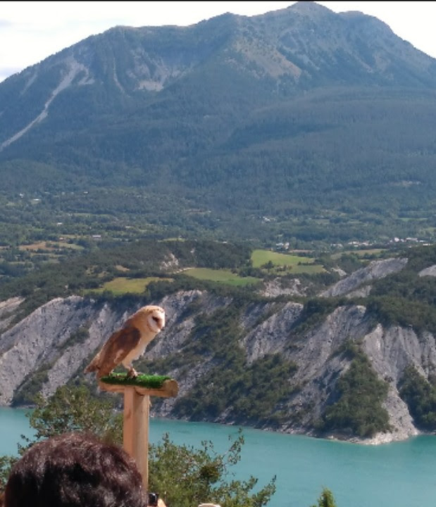 Photo n° 1 de l'avis de Gregory.e fait le 24/08/2017 à 06:46