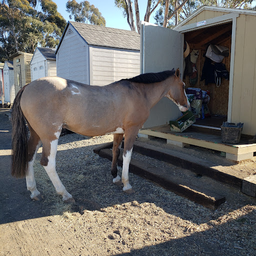 Carmel View Ranch - Private Horse Boarding